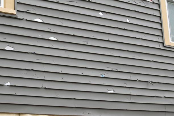 Best Engineered Wood Siding  in County Center, VA